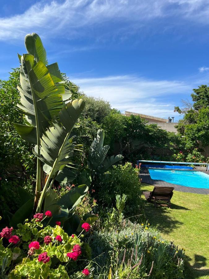 Sunset Beach Living Guesthouse Le Cap Extérieur photo