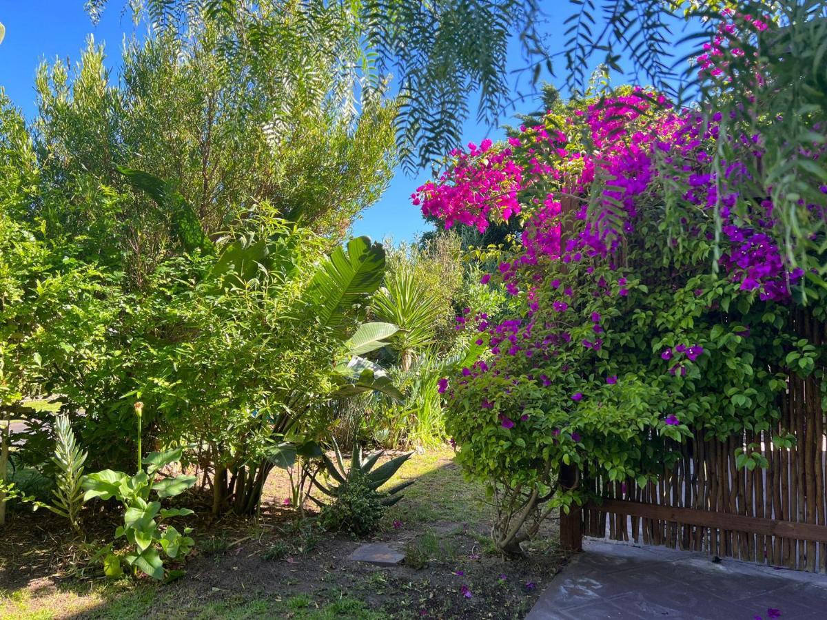 Sunset Beach Living Guesthouse Le Cap Extérieur photo